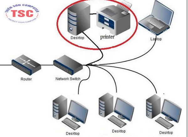 Truy cập kết nối mạng nội bộ > Control Panel > chọn Printers and Devices > And a network