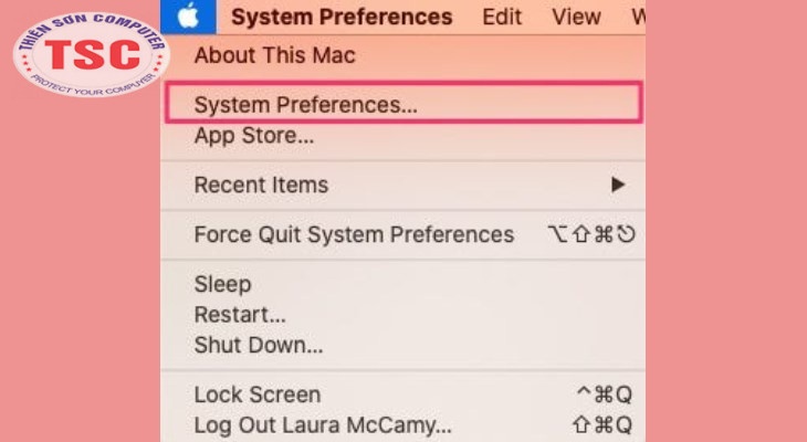 Truy cập vô biểu tượng Apple > Chọn System Preferences.
